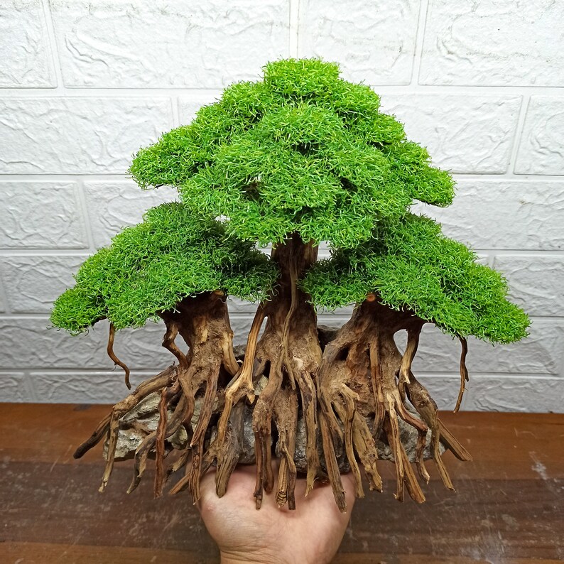 Bonsai Tree Aquarium Bonsai Driftwood Fish Tank Decoration Etsy