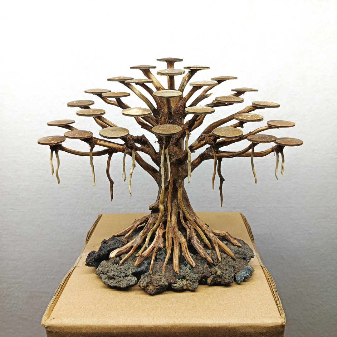 Bonsai Tree Aquarium, Bonsai Driftwood, Bonsai for Aquascape & Aquarium