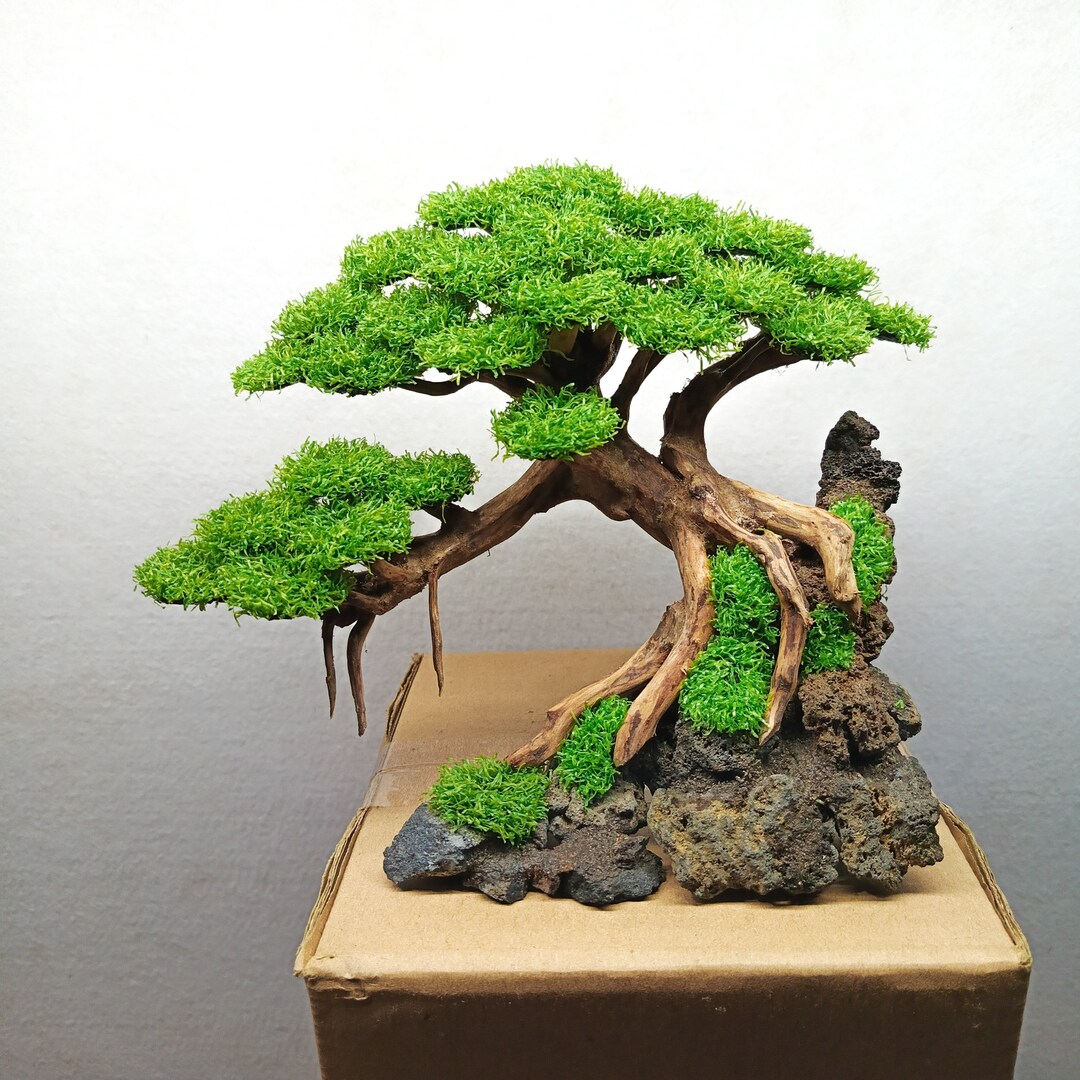 Bonsai Tree Aquarium, Bonsai Driftwood Fake Moss, Bonsai Driftwood