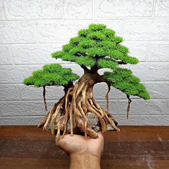 Bonsai Tree Aquarium Bonsai Driftwood Fish Tank Decoration - Etsy