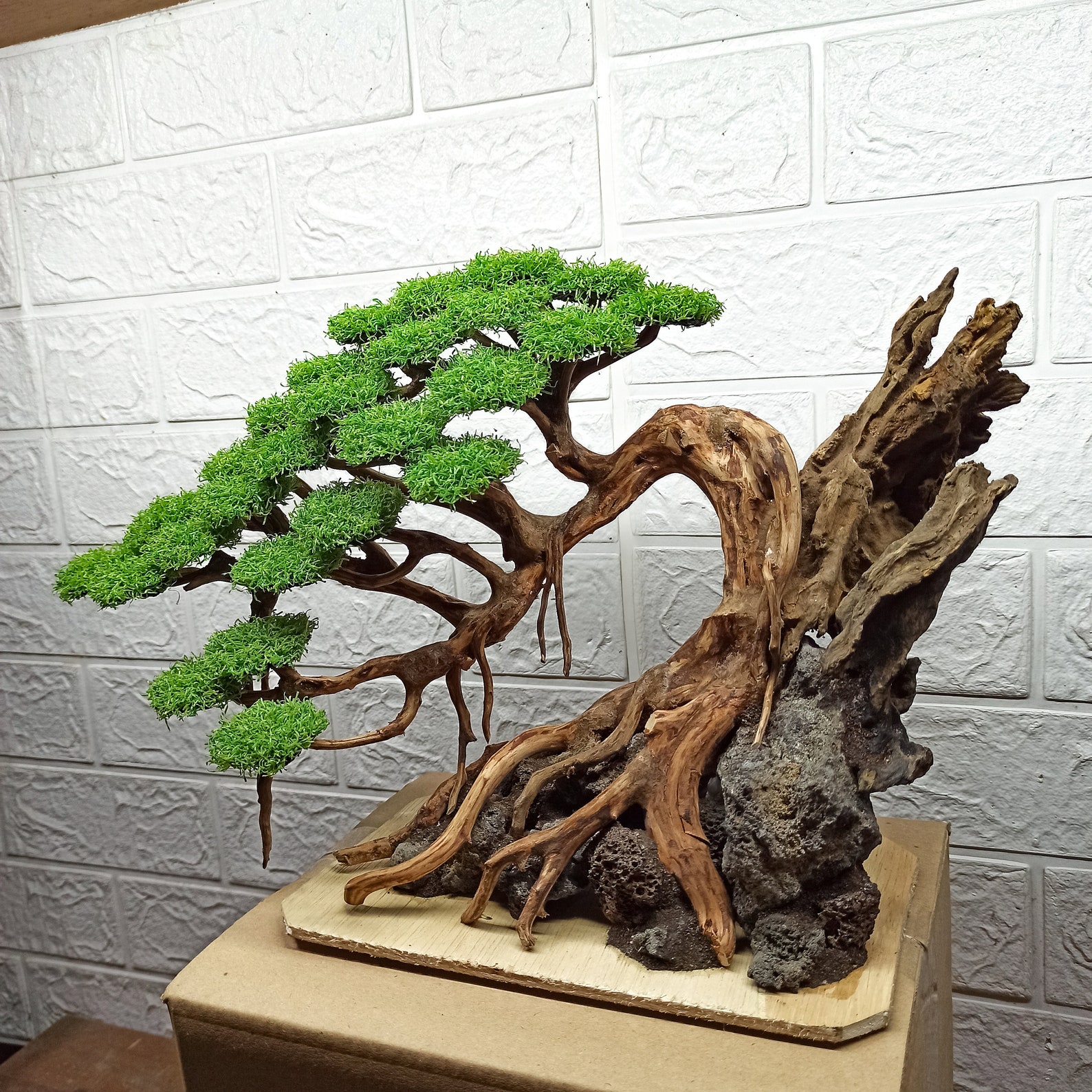 Bonsai Tree Aquarium, Bonsai Driftwood, Fish Tank Decoration, Aquarium