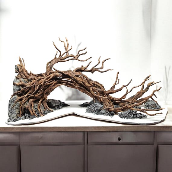 水槽用天然流木 約50cm x 40cm 希少】 パルダリウム・アクアリウム向け