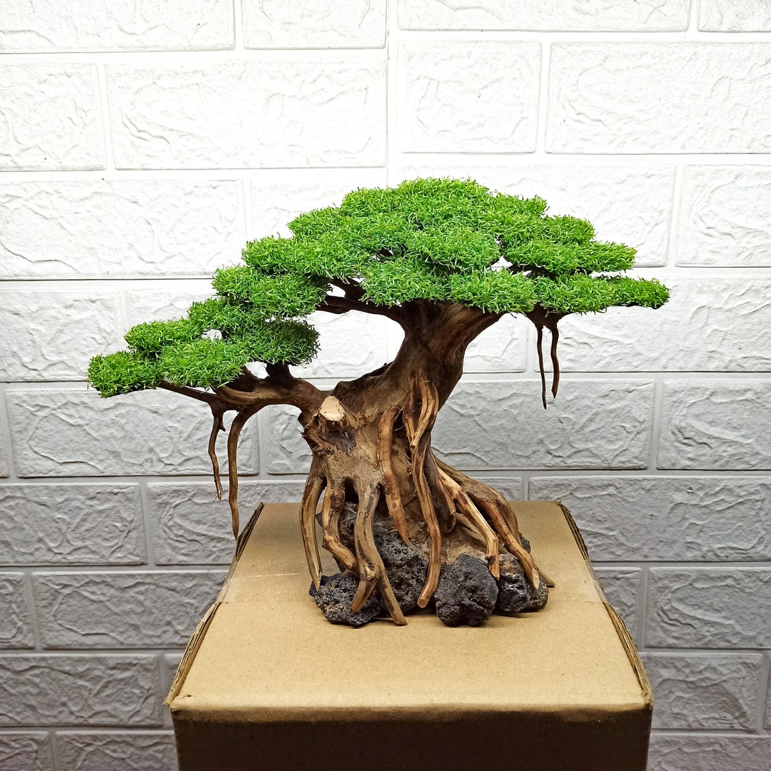 Bonsai Tree Aquarium, Bonsai Driftwood, Fish Tank Decoration, Aquarium