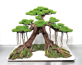 Puede incluir: Un árbol bonsái con múltiples ramas verdes y raíces marrones, exhibido sobre una base cuadrada blanca.