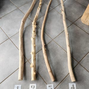 May include: Four long, light-colored wooden branches arranged vertically. Each branch has a unique, natural shape with varying textures and knots. Small white paper labels numbered one through four are placed at the base of each individual branch.