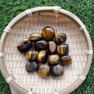 cute TIGERS EYE tumbles | Indian Mines