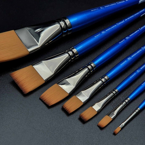 Winsor & Newton Cotman Watercolour Brushes Series 666 One Stroke Full Range Fast Shipping