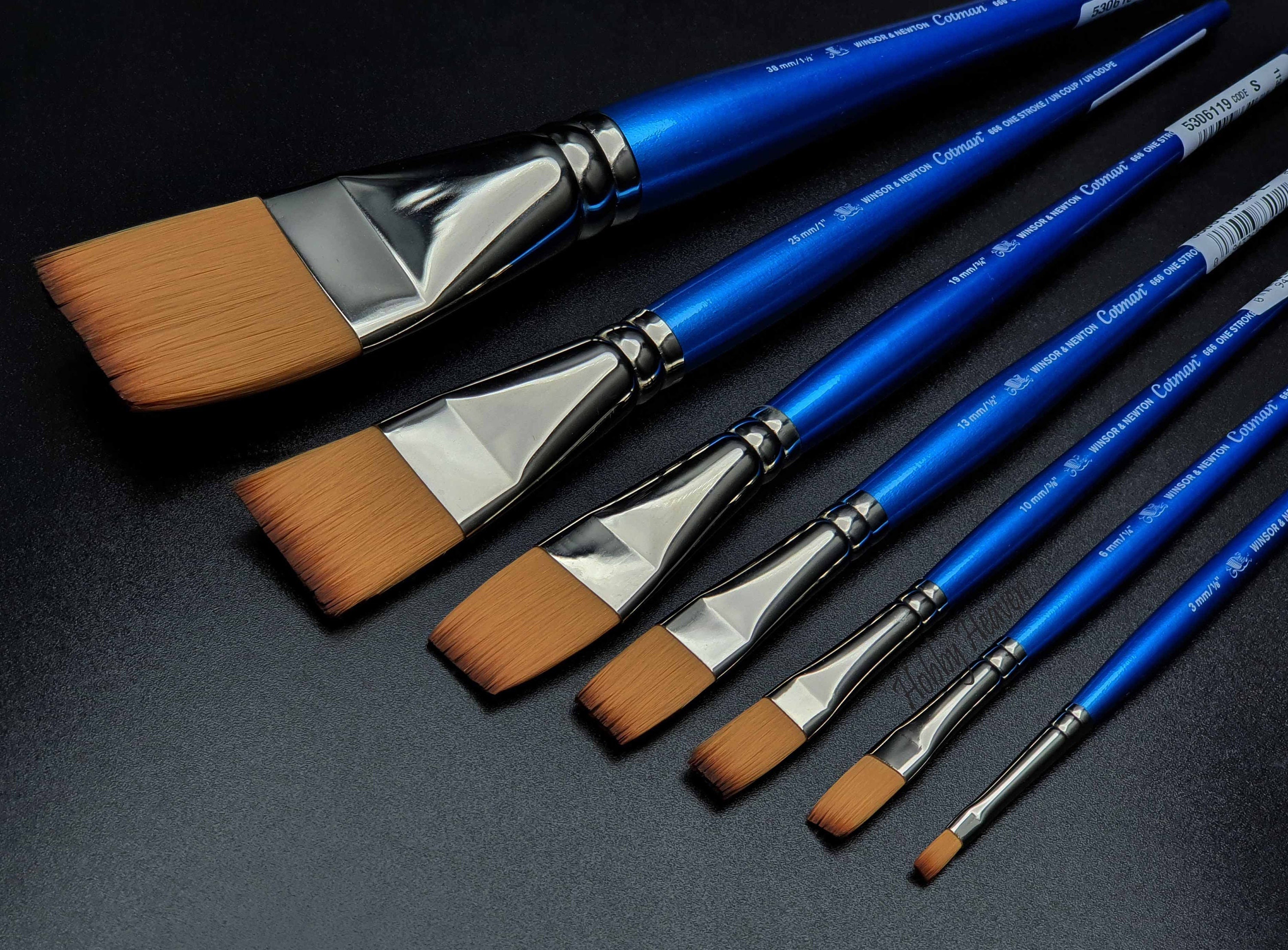 Cotman Watercolour Brush - Cotman Brush Series 668, Filbert, Short Handle,  Size 25mm - 1