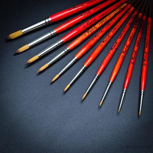 May include: A selection of artist paint brushes with red handles and silver ferrules. The brushes are arranged diagonally, displaying their different sizes and shapes. The bristles are a light tan colour, and the handles have the brand name "Raphael" printed on them.