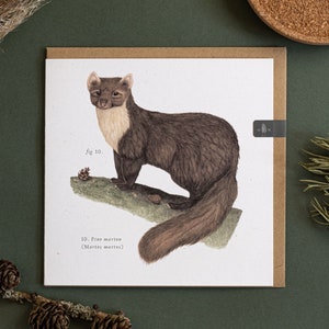 Tarjeta de felicitación de historia natural de Pine Marten (en blanco)