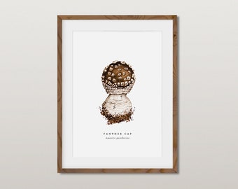 Panthermütze Pilz, A5 Giclée Fine Art Print