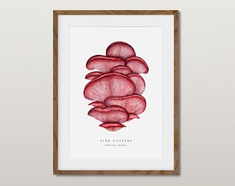 Pink Oyster Mushrooms, A4 Giclée Fine Art Print