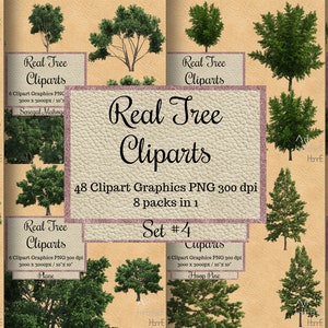 48 Echte Baum Overlays png, Landschaft transparente Cliparts Hintergrund, Frühling Holz Bäume ganze Verkauf Bundle, realistische Garten Cliparts Sticker