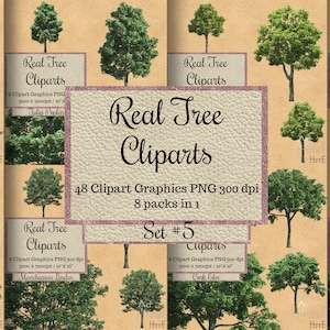48 Real Tree cliparts png, landscape transparent overlay background, Spring wood trees layout whole sale bundle, realistic garden sticker