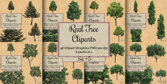 48 Real Tree Cliparts Png Landscape Transparent Overlay | Etsy
