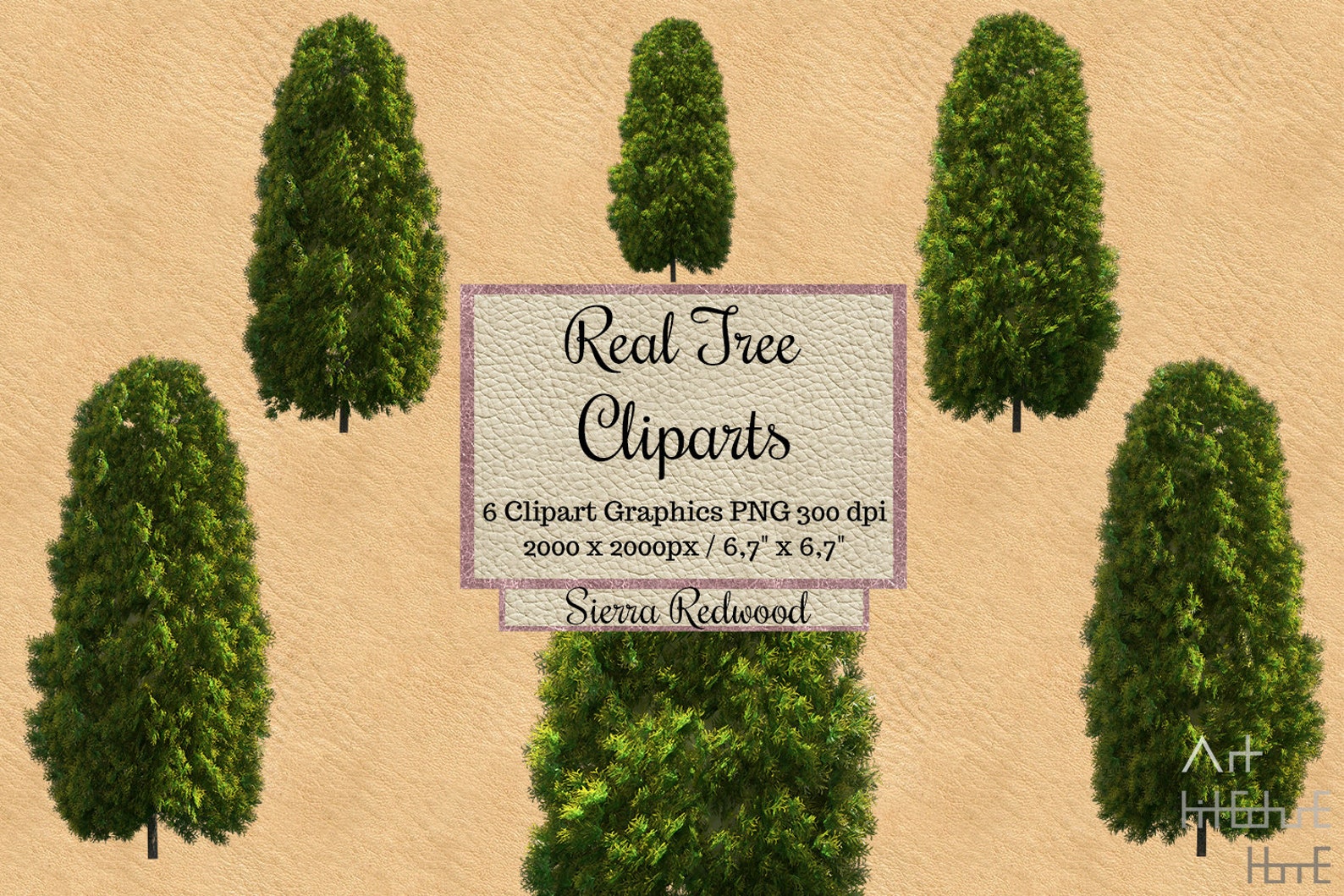 48 Real Tree Clipart, Photoshop Overlays, Garden Landscape Layout ...