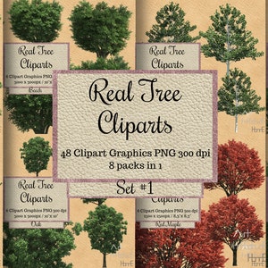 48 Echte Baum Cliparts, Frühlingsbäume png, Realistischer Look ganzer Verkauf Baum Overlays, transparenter Hintergrund Echtbaum, Eiche Buche rot Ahorn png