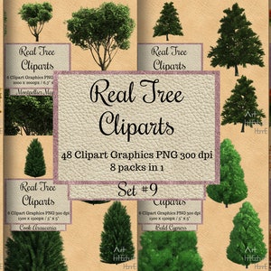 48 Echte Baum Cliparts, Photoshop Overlay, Landschaft Layout, Garten Elemente, transparenter Hintergrund, oranger Roségold Baum, realistische Natur