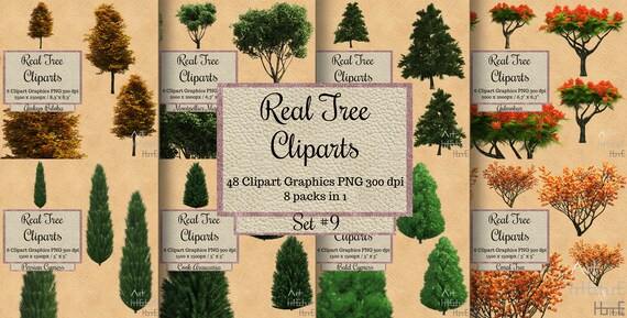 48 imágenes prediseñadas de real tree superposición de - Etsy España