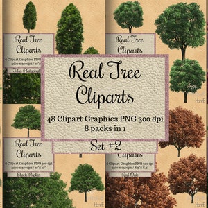 48 Real Tree Overlays, Frühlingsbäume png, ganzer Verkauf realistische Baum Cliparts, transparenter Hintergrund Echtbaum Shirt, Echtbaum Sticker Band