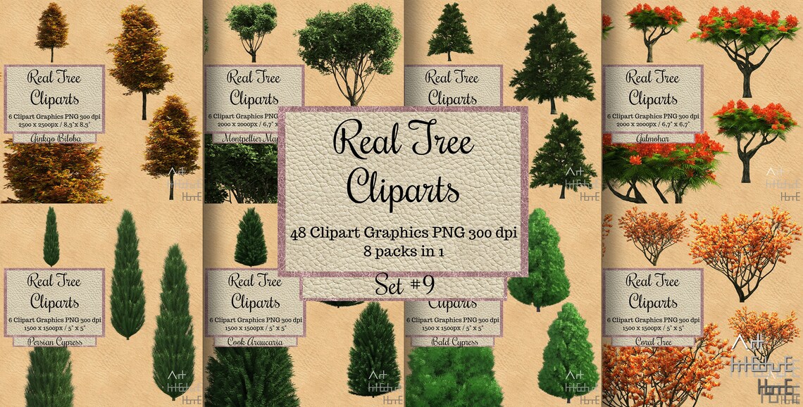 240 Real Tree Cliparts Png, Landscape Overlay, Transparent Background ...