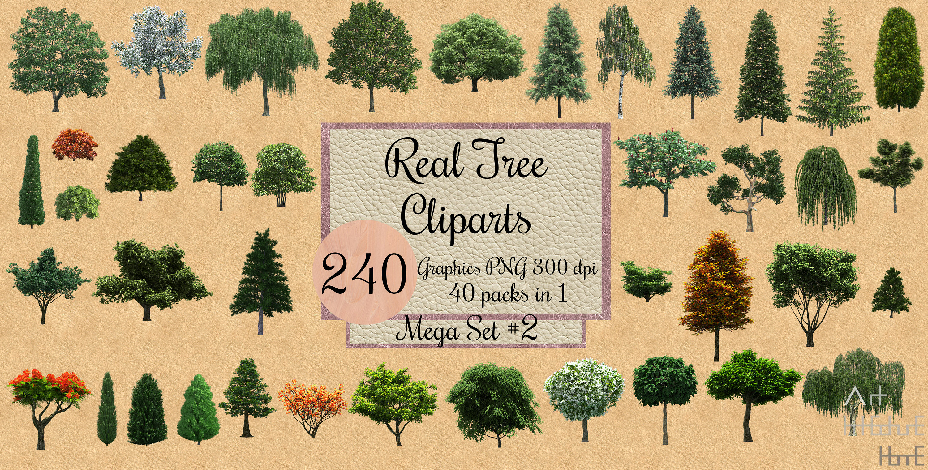 240 Real Tree Cliparts Png, Landscape Overlay, Transparent Background ...