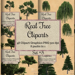 240 Real Tree Cliparts Png, Landscape Overlay, Transparent Background ...