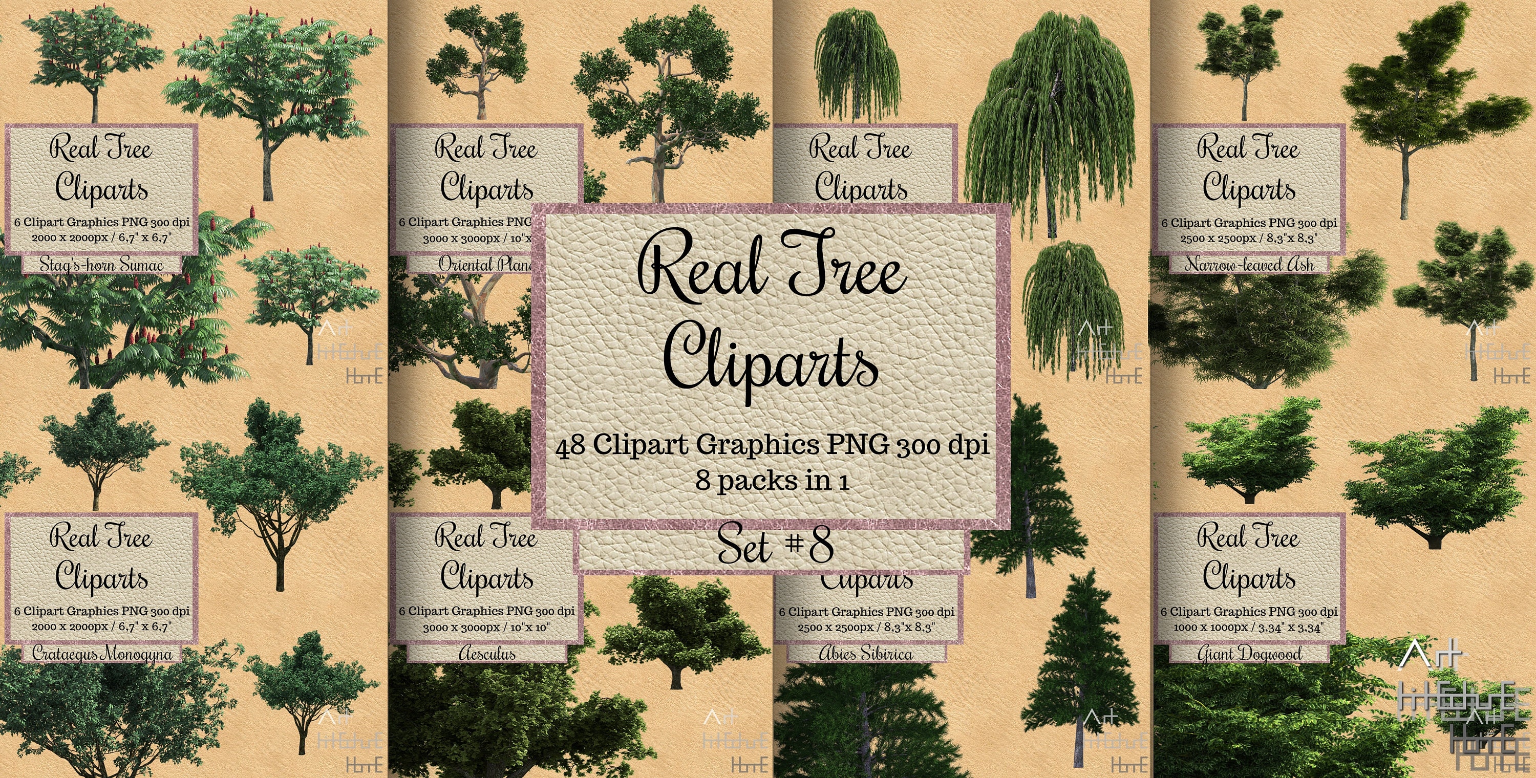 240 Real Tree Cliparts Png, Landscape Overlay, Transparent Background ...