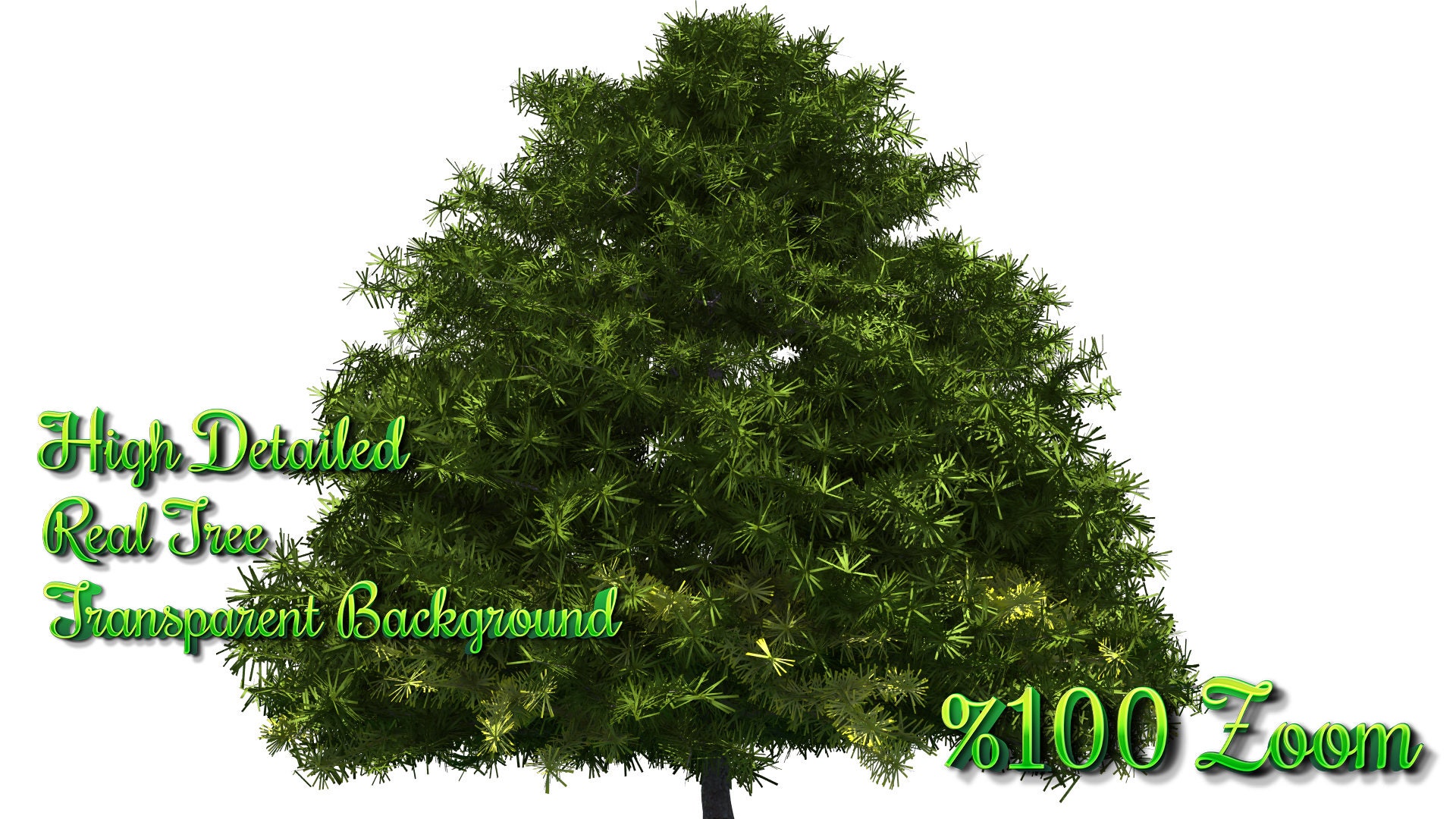 Real Yellowwood Tree Cliparts, Tree Photoshop Overlays Png, Garden ...