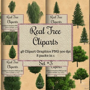 48 cliparts de árbol real png fondo de superposición transparente, árboles de primavera paquete de venta completo png set, cliparts de árbol realistas, pegatina de árbol real
