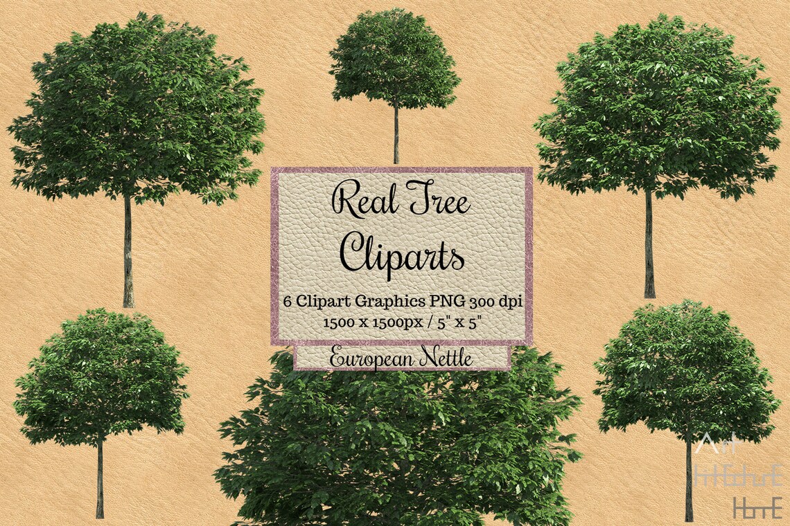 48 Real Tree Clipart, Photoshop Overlays, Garden Landscape Layout ...