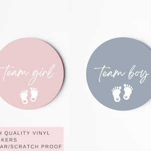 Gender Reveal Stickers, Team Boy Stickers, Team Girl Stickers, Baby Shower Stickers, Gender Reveal