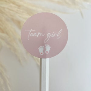 May include: Pink circle with the text "Team Girl" in white script and two white footprints with pink hearts. The circle is attached to a white stick.