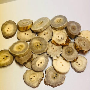 Antique Whitetail Deer Antler Buttons - set of 24