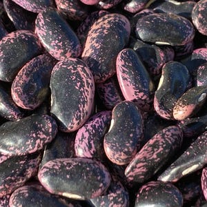 May include: A close-up shot of a collection of dried beans. The beans are oval-shaped with a dark, nearly black base color. They are speckled with patches of pink and light purple, creating a unique pattern. The beans are likely for culinary use.