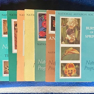 Vintage Audubon Member Activity Booklet - Various - (1950’s, 1960’s)