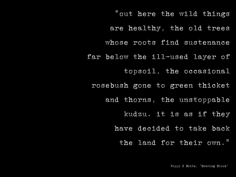 Poppy Z Brite Drawing Blood Book Quote Printable Phrase Wall Etsy