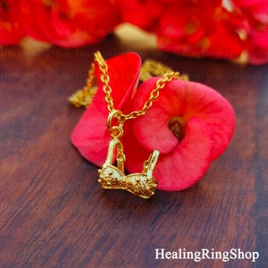 Könnte beinhalten: Eine goldene Halskette mit einem BH-förmigen Anhänger. Der Anhänger ist mit kleinen, erhabenen Punkten verziert. Die Halskette liegt auf einer Holzoberfläche mit rosa Blumen.