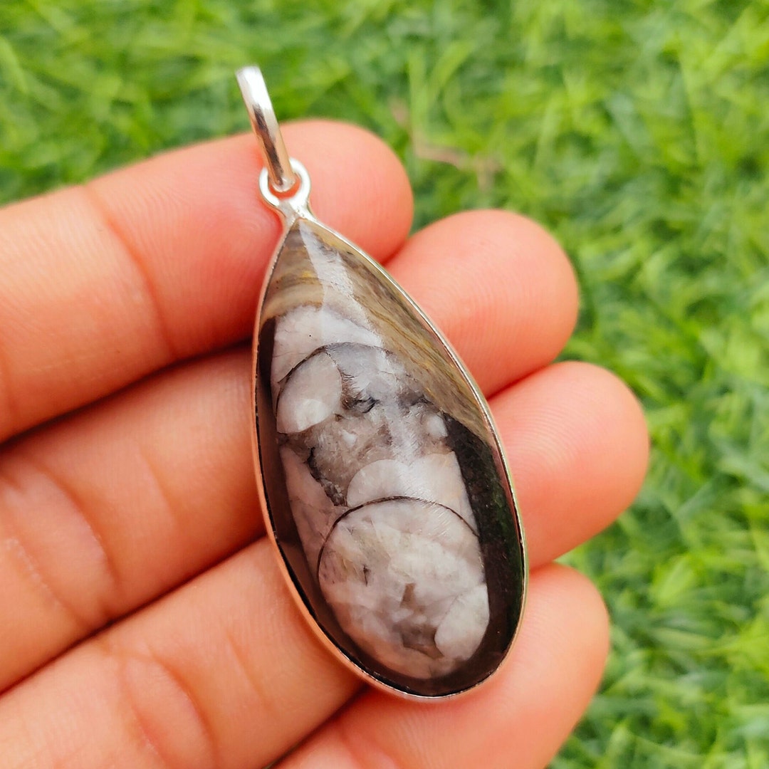 •ORTHOCERAS FOSSIL - 1• sterling silver pendant