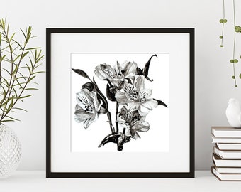 Flowers Watercolor Painting Print, Flowers Wall Art, Giclee Print, Alstroemeria, Art Print, Botanicals Print, Illustration, Home Décor, Gift