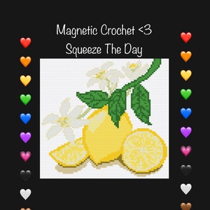 以下が含まれることがあります： 花と葉の付いたレモンのクロシェパターン。パターン名は「Squeeze The Day」で、磁気クロシェ用です。