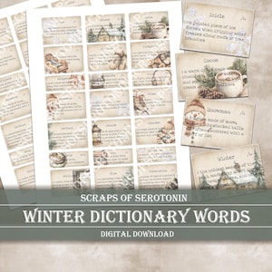 Puede incluir: Una descarga digital con tarjetas de palabras de diccionario con temas de invierno. Las tarjetas tienen ilustraciones y definiciones de palabras como "carámbano", "muñeco de nieve" e "invierno". La imagen también incluye el texto "Scraps of Serotonin" y "Winter Dictionary Words".