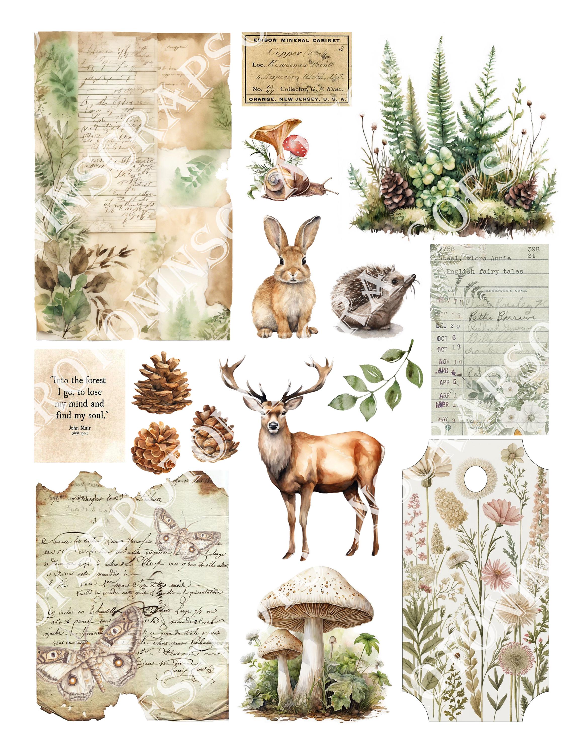 Junk Journal Ephemera, Woodland, Scrapbook Digital Download, Journaling ...