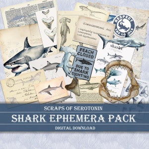 Junk Journal Ephemera, Tiburón, Collage, Scrapbooking Descarga Digital, Imprimible, Adornos, Tiburones Decoupage, Diario, Océano, Mar