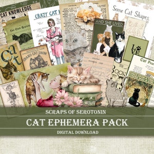 Ephemera de diario basura, gatos, descarga digital de álbum de recortes, diario imprimible, adornos felinos, decoupage de mascotas, regalos para gatos