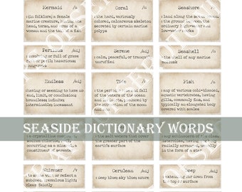 Seaside Dictionary Words