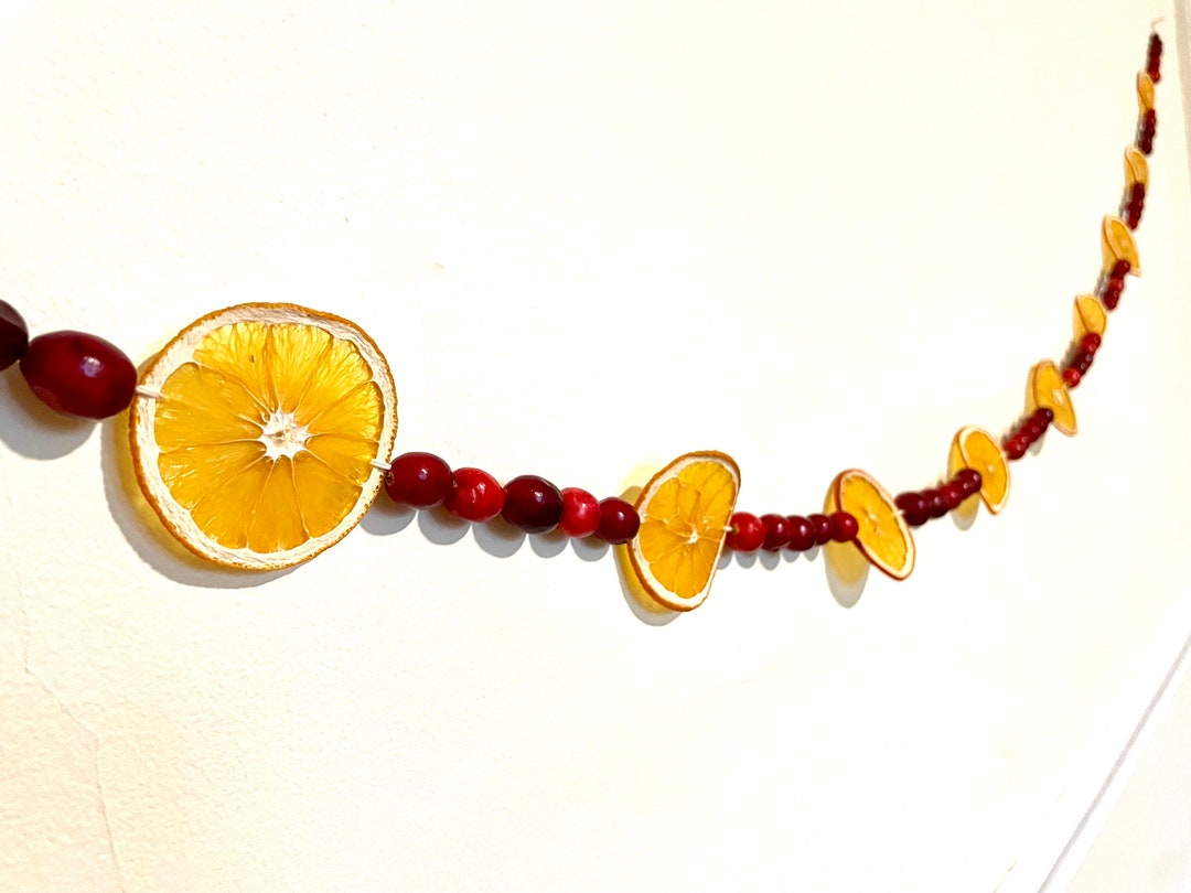 6 Ft Dried Orange and Cranberry Garland Etsy