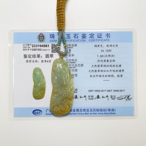 Certified Phoenix Carved Jade Pendant Necklace Natural Burmese Jadeite Authentic Grade A P3004981