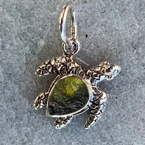 May include: A silver turtle charm with a green and black stone in the center. The turtle is detailed with a textured shell and has a loop at the top for attaching to a necklace or bracelet.
