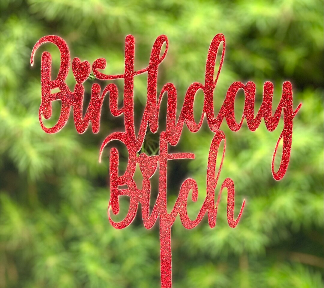 Birthday Bitch Cake Topper. Bitch Cake Topper. Fun Cake Toppers. Birthday Cake Topper. Etsy